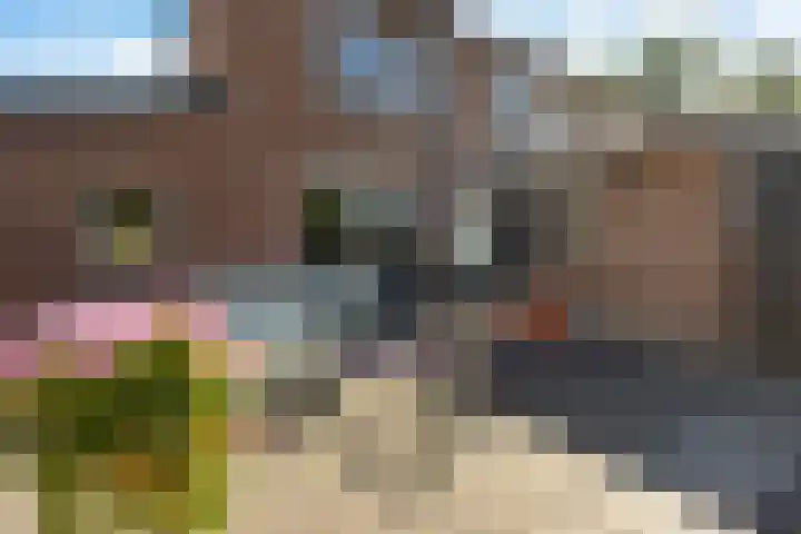 Rattelwacht 12 Gorredijk thumbnail 43