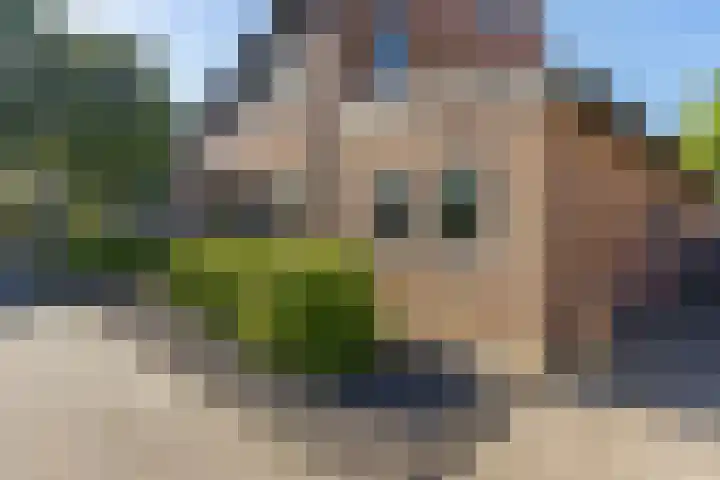 Rattelwacht 12 Gorredijk thumbnail 8
