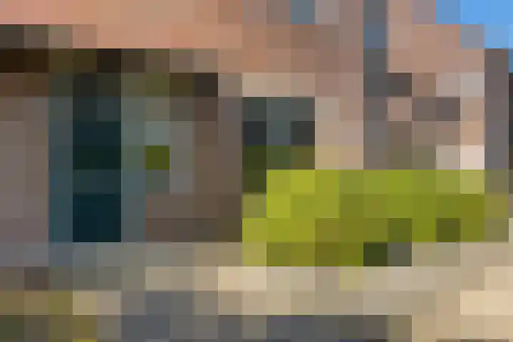 Rattelwacht 12 Gorredijk thumbnail 9
