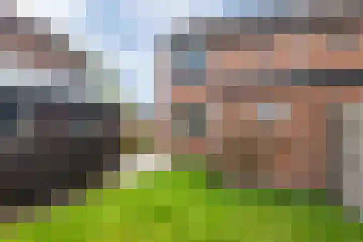 Rattelwacht 24 Gorredijk thumbnail 17