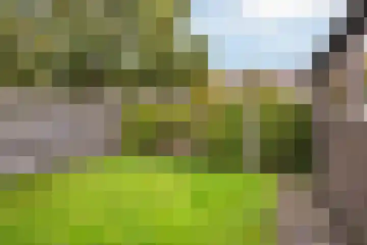 Rattelwacht 24 Gorredijk thumbnail 18