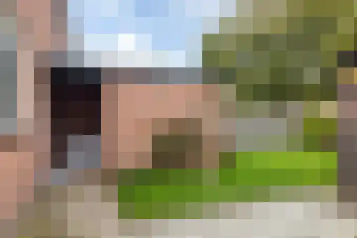 Rattelwacht 24 Gorredijk thumbnail 20