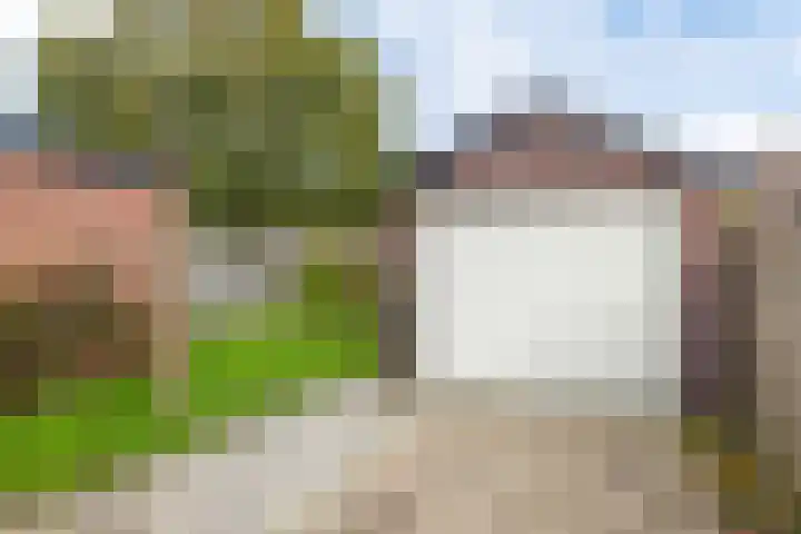 Rattelwacht 24 Gorredijk thumbnail 21
