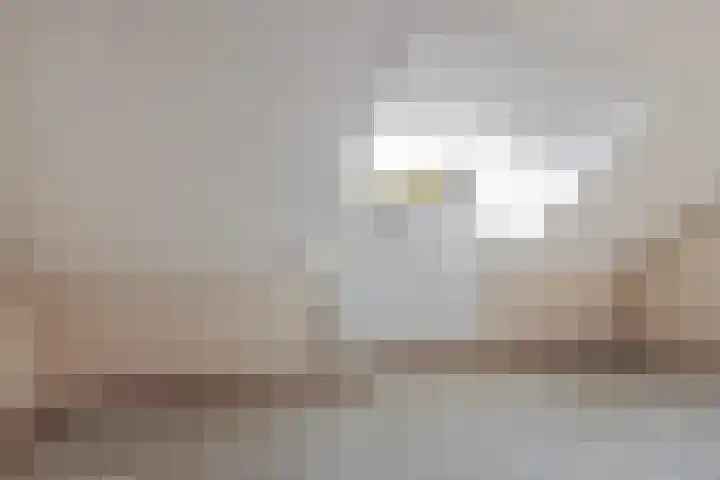 Rattelwacht 24 Gorredijk thumbnail 26