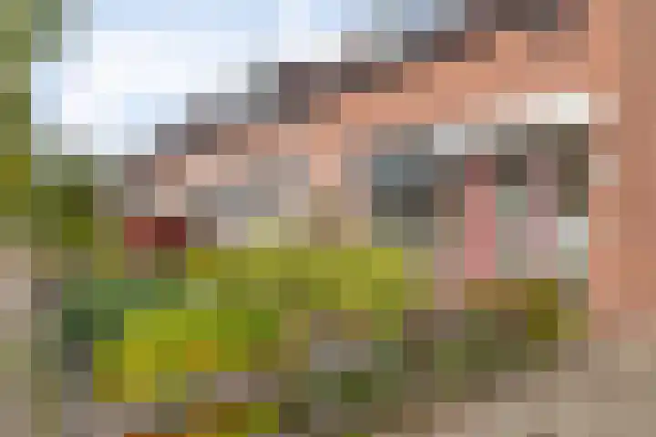 Rattelwacht 24 Gorredijk thumbnail 4