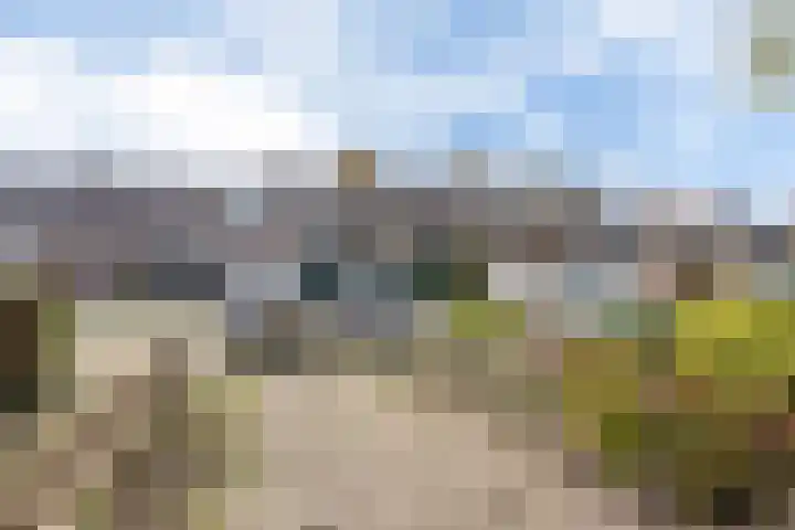 Rattelwacht 24 Gorredijk thumbnail 5