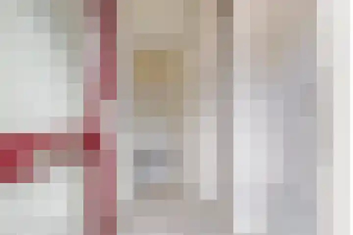 Rattelwacht 24 Gorredijk thumbnail 7