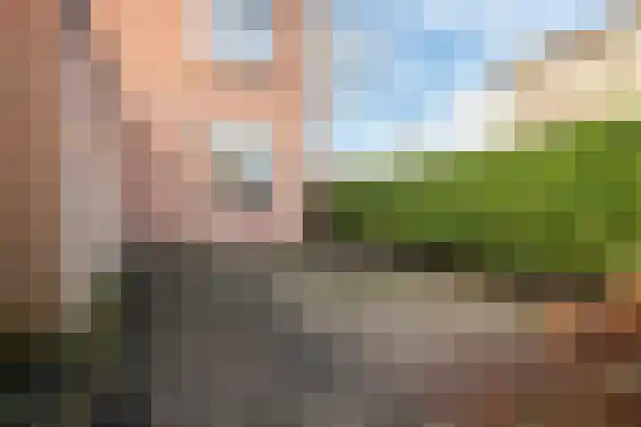 Rattelwacht 50 Gorredijk thumbnail 12