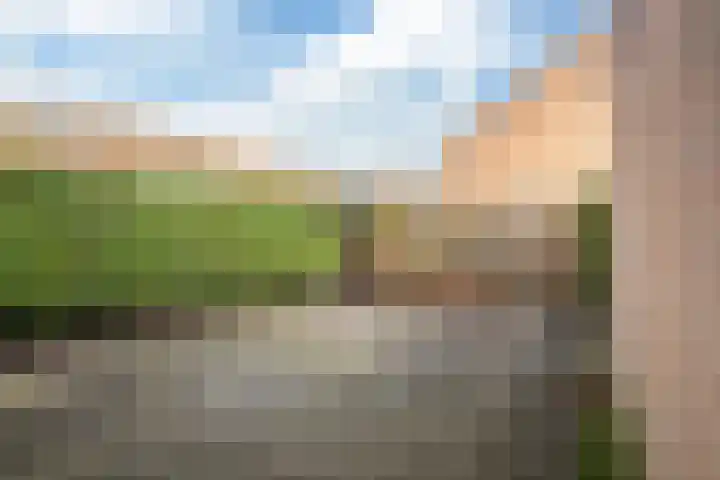 Rattelwacht 50 Gorredijk thumbnail 13