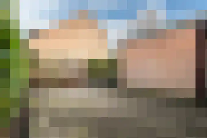 Rattelwacht 50 Gorredijk thumbnail 14