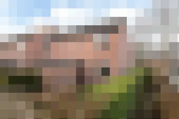 Rattelwacht 50 Gorredijk thumbnail 16