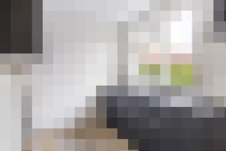 Rattelwacht 50 Gorredijk thumbnail 8