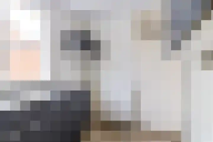 Rattelwacht 50 Gorredijk thumbnail 9