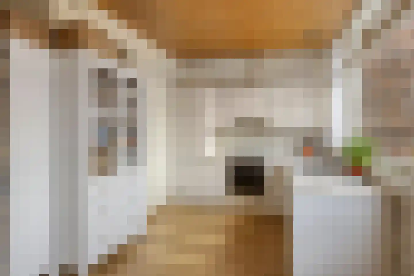 Ratumsestraat 37 Winterswijk thumbnail 7