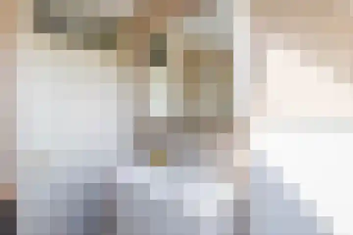 Raupplaan 46 Nuenen thumbnail 30
