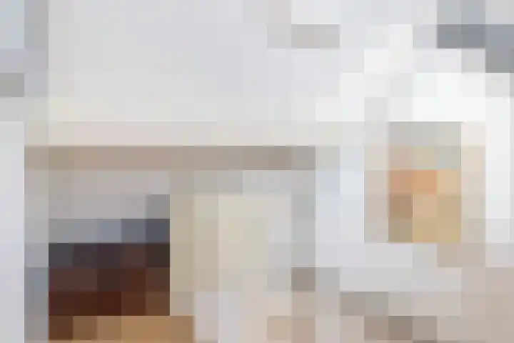 Raupplaan 46 Nuenen thumbnail 32