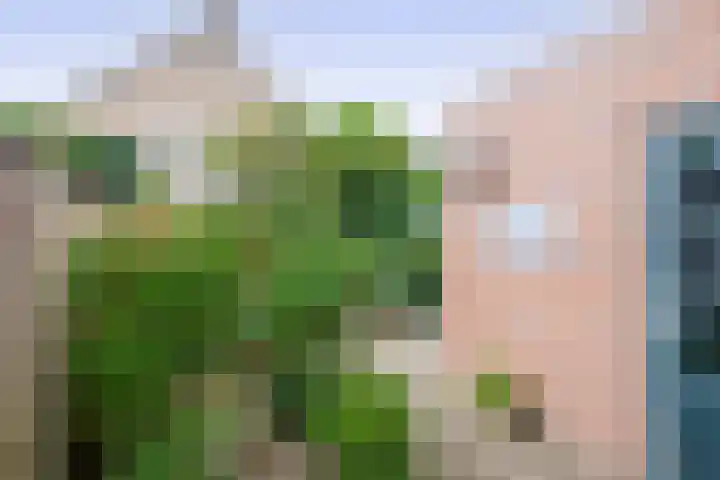 Raupplaan 46 Nuenen thumbnail 34
