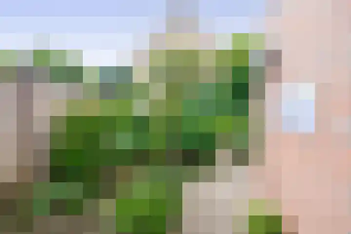 Raupplaan 46 Nuenen thumbnail 35