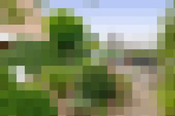 Raupplaan 46 Nuenen thumbnail 36