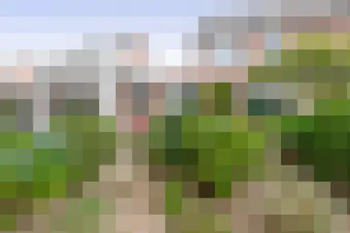 Raupplaan 46 Nuenen thumbnail 38