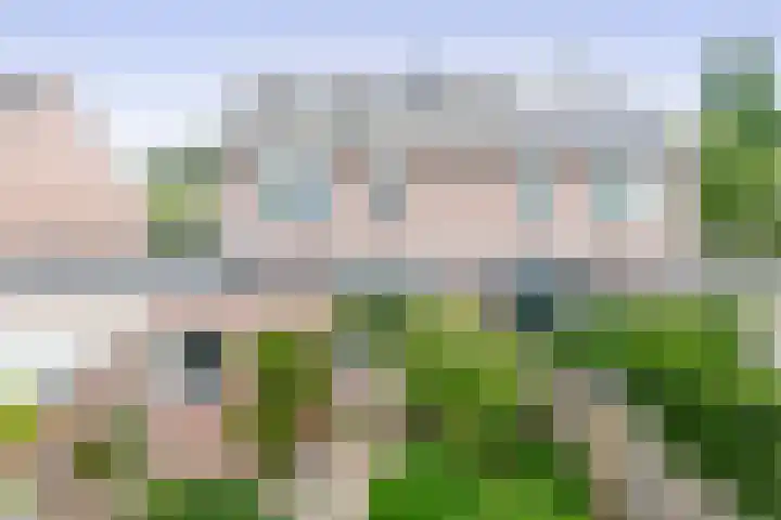 Raupplaan 46 Nuenen thumbnail 39