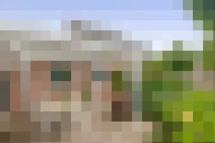 Raupplaan 46 Nuenen thumbnail 4