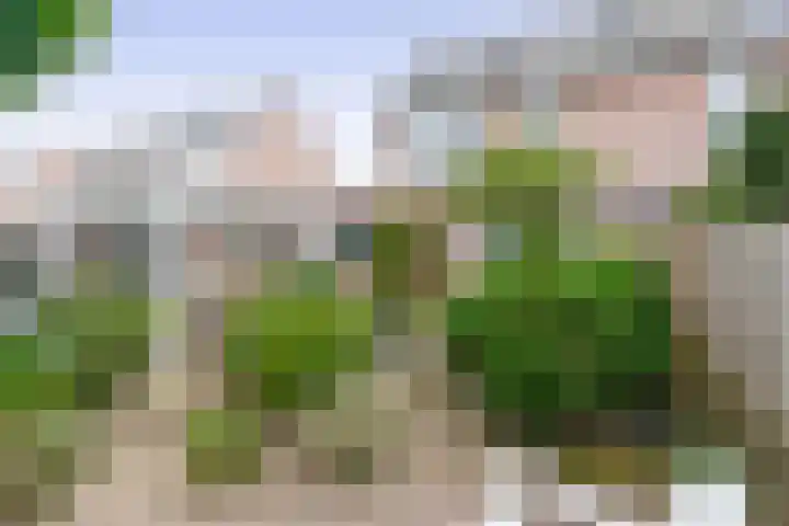 Raupplaan 46 Nuenen thumbnail 41