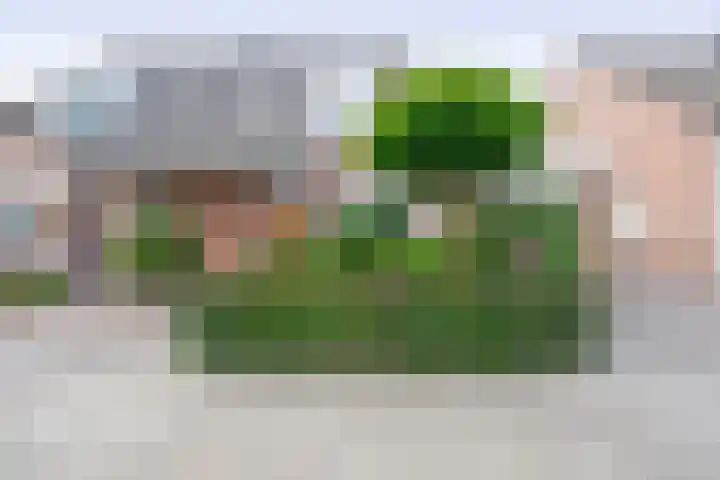 Raupplaan 46 Nuenen thumbnail 6