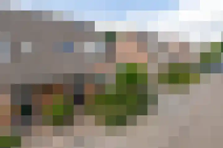 Raupplaan 46 Nuenen thumbnail 8