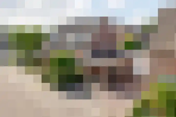 Raupplaan 46 Nuenen thumbnail 9