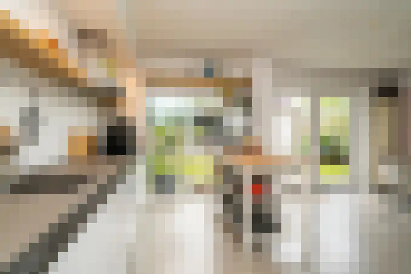 Rauwbrakenweg 2 Berkel-Enschot thumbnail 12