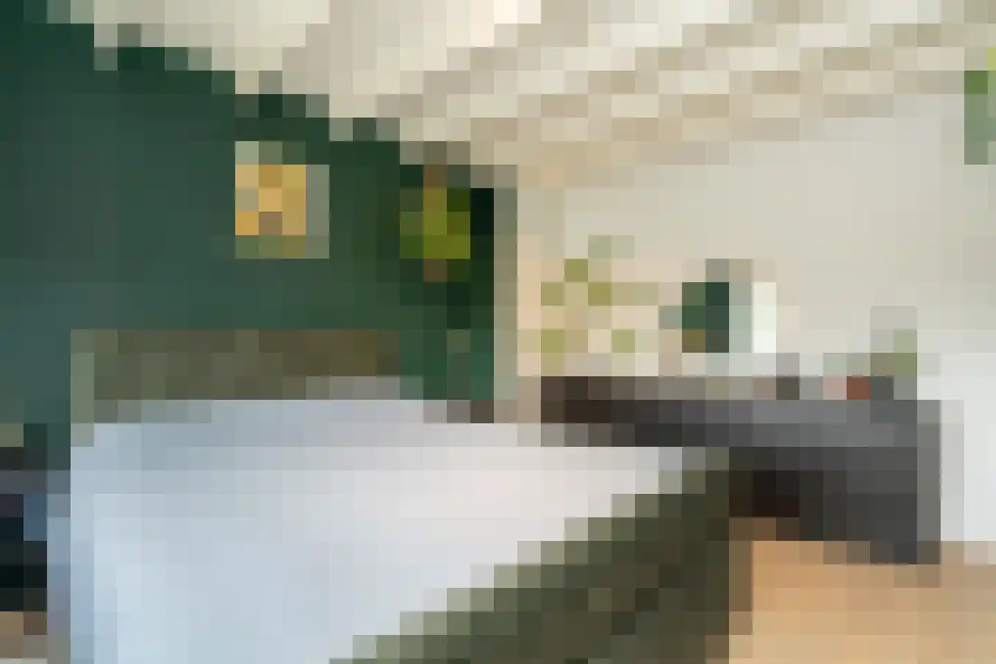 Rauwbrakenweg 2 Berkel-Enschot thumbnail 22
