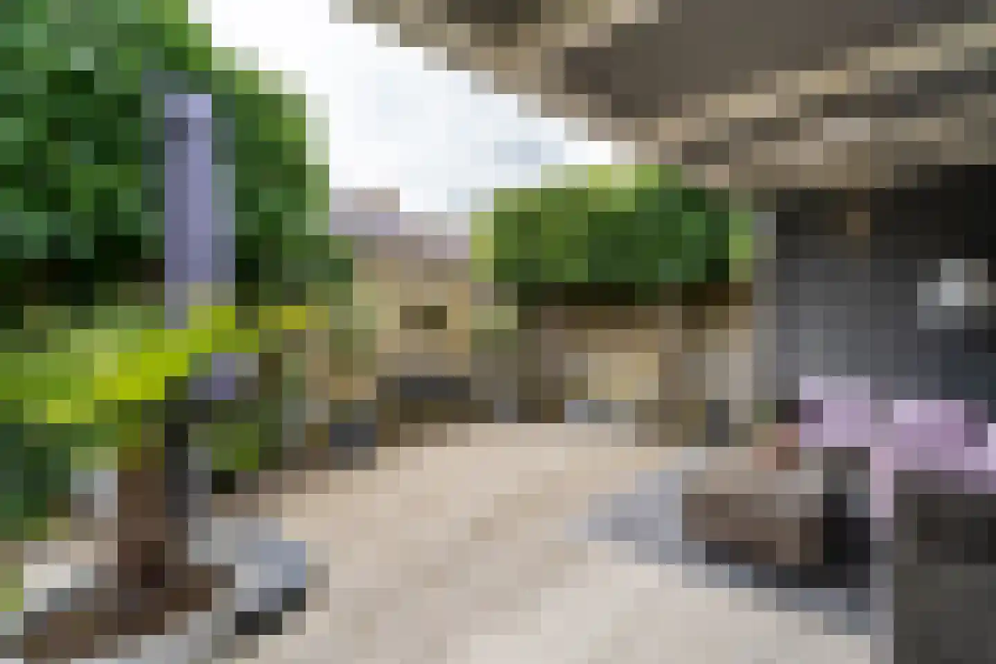 Rauwbrakenweg 2 Berkel-Enschot thumbnail 34