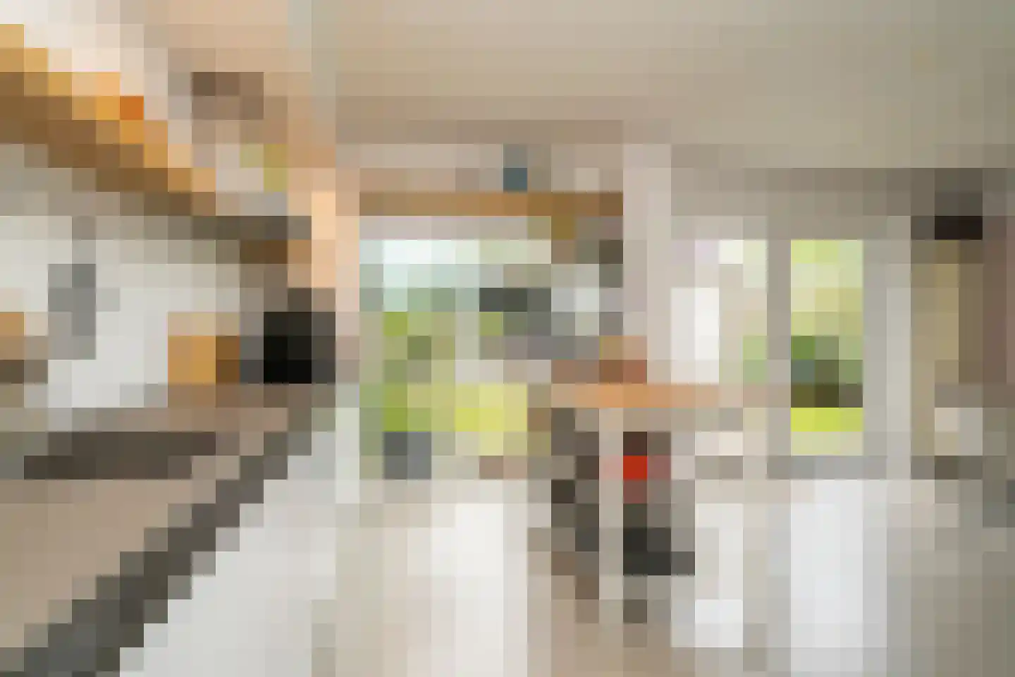 Rauwbrakenweg 2 Berkel-Enschot thumbnail 4