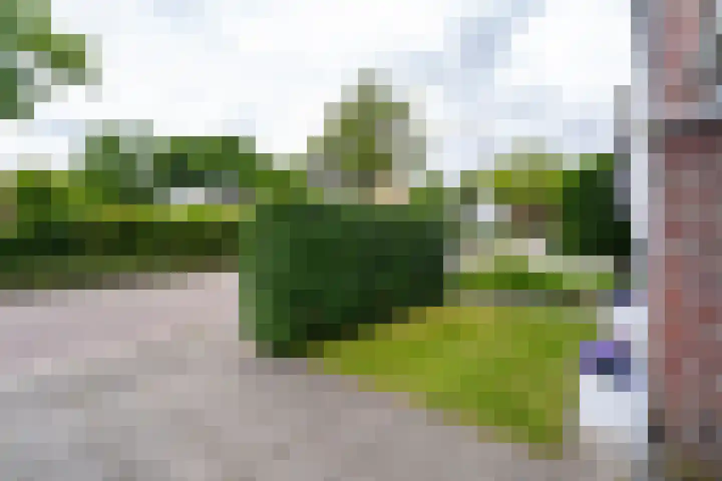 Rauwbrakenweg 2 Berkel-Enschot thumbnail 7