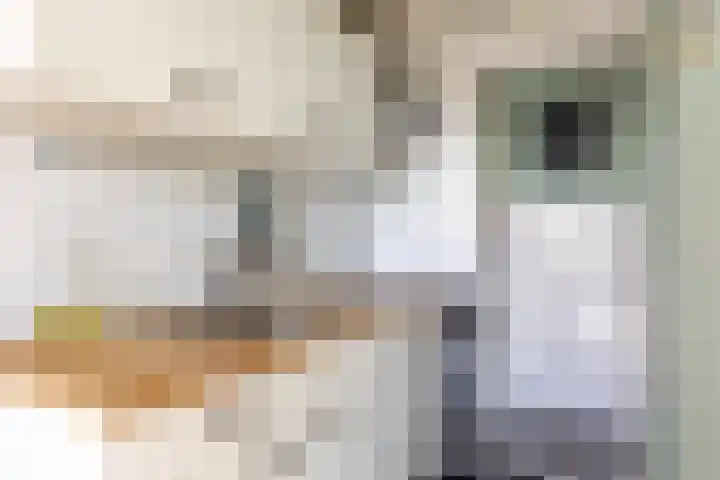 Rauwenhofflaan 108 Utrecht thumbnail 12