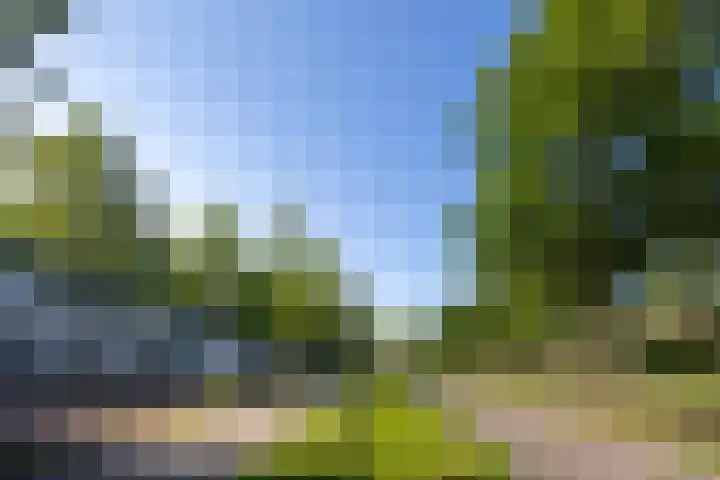 Rauwenhofflaan 108 Utrecht thumbnail 31