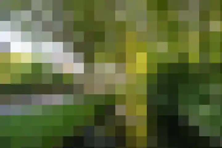 Rauwenhofflaan 108 Utrecht thumbnail 32