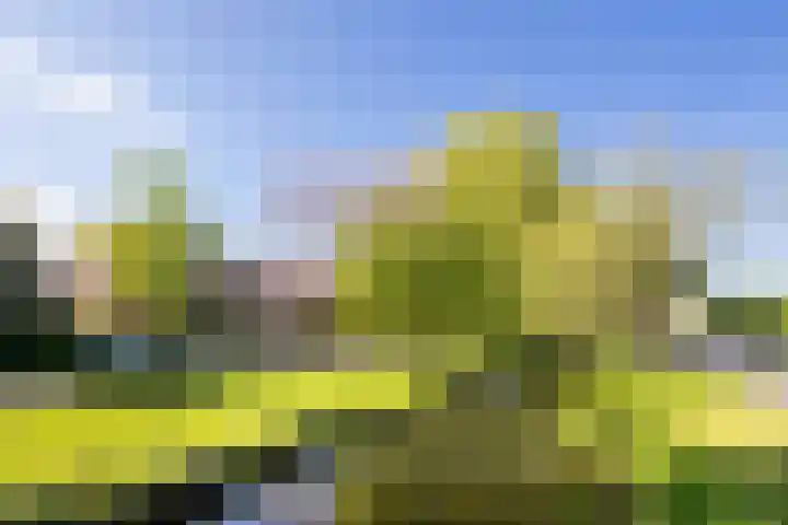Rauwenhofflaan 108 Utrecht thumbnail 34