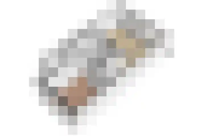 Rauwenhofflaan 108 Utrecht thumbnail 40