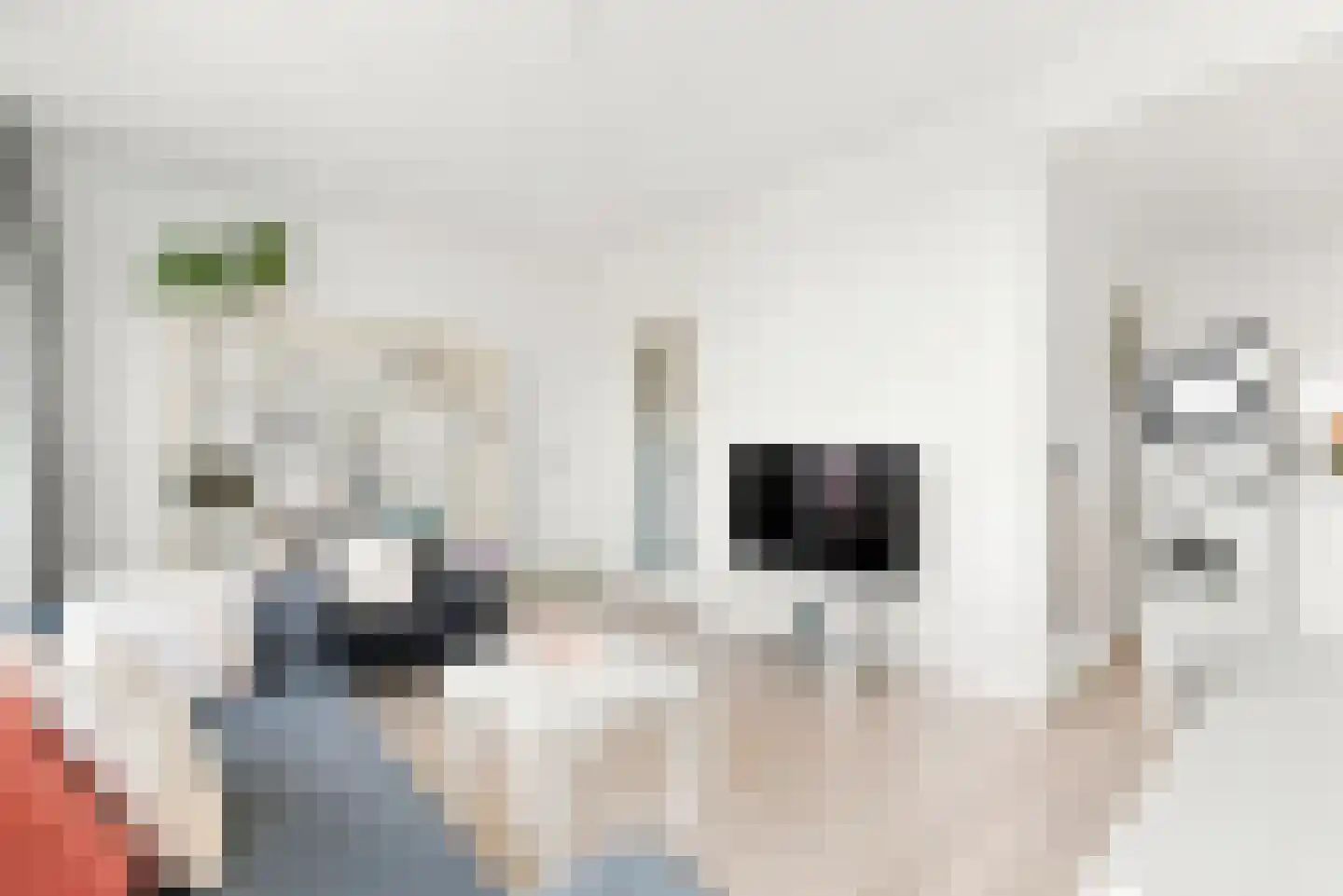 Rauwenhofflaan 134 Utrecht thumbnail 15