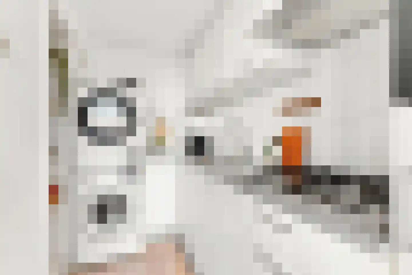Rauwenhofflaan 134 Utrecht thumbnail 16