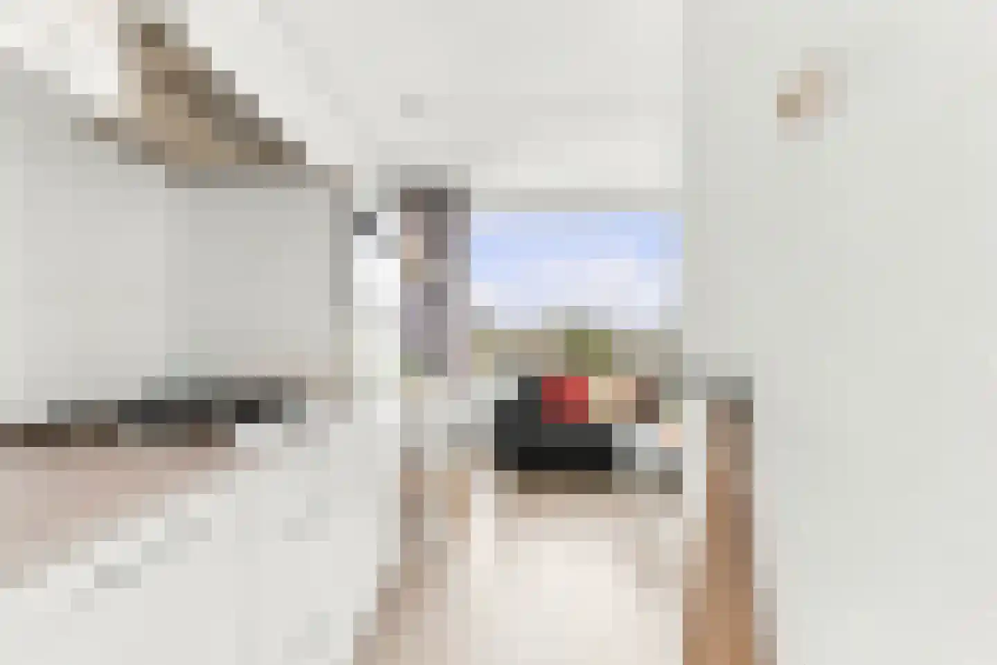 Rauwenhofflaan 134 Utrecht thumbnail 17