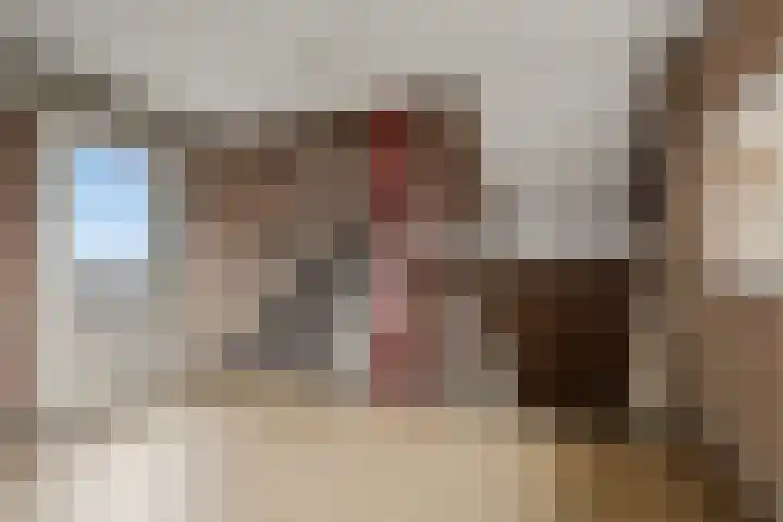Rauwenhofflaan 142 Utrecht thumbnail 11