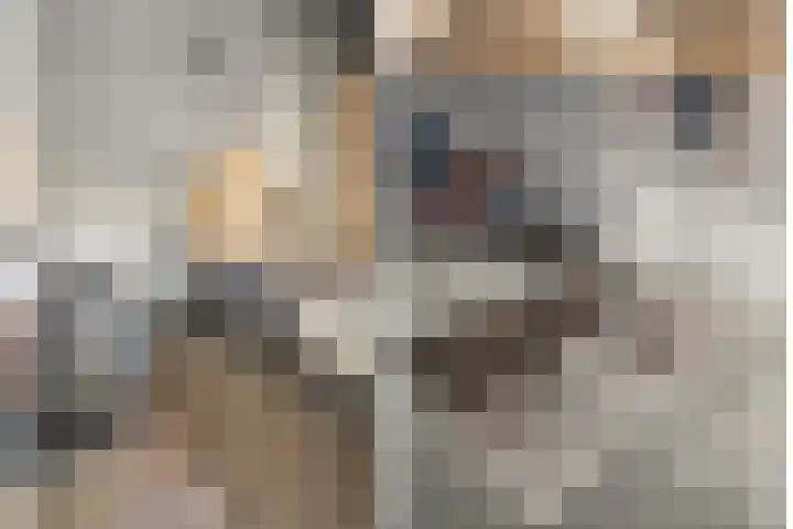 Rauwenhofflaan 142 Utrecht thumbnail 24