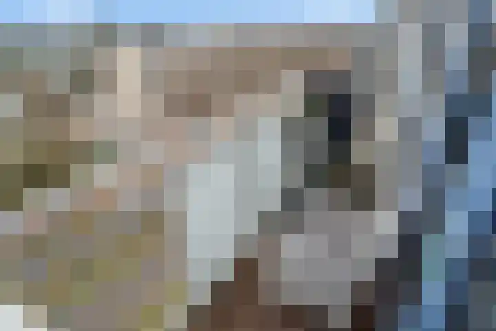 Rauwenhofflaan 142 Utrecht thumbnail 26
