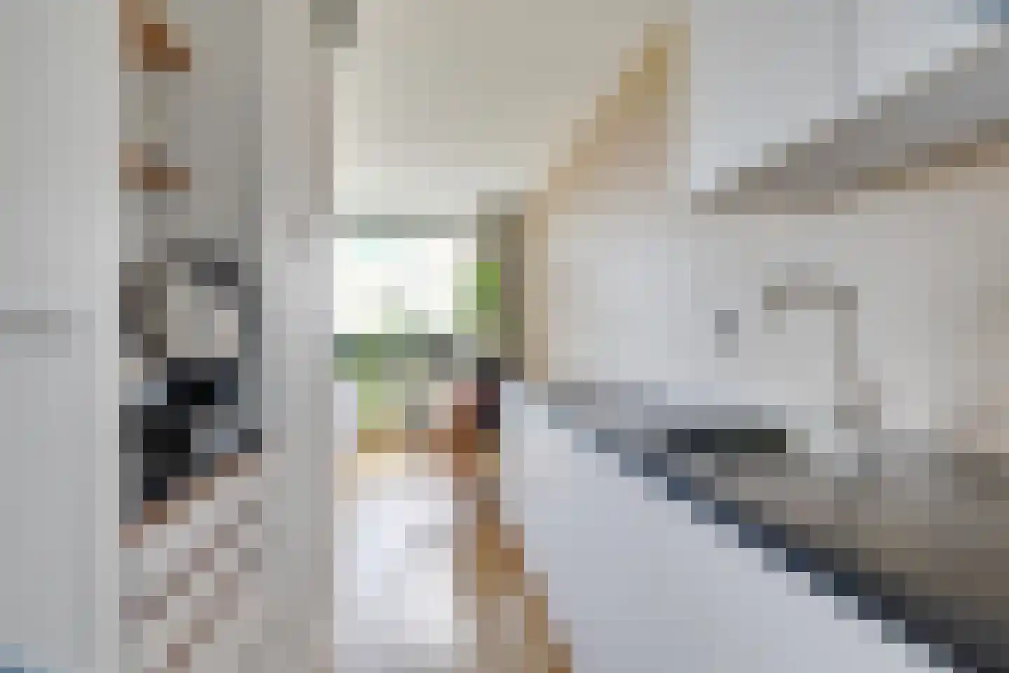 Rauwenhofflaan 172 Utrecht thumbnail 12