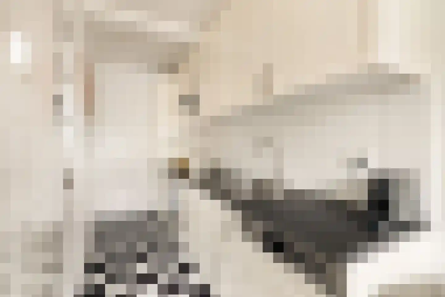 Rauwenhofflaan 18 Utrecht thumbnail 18