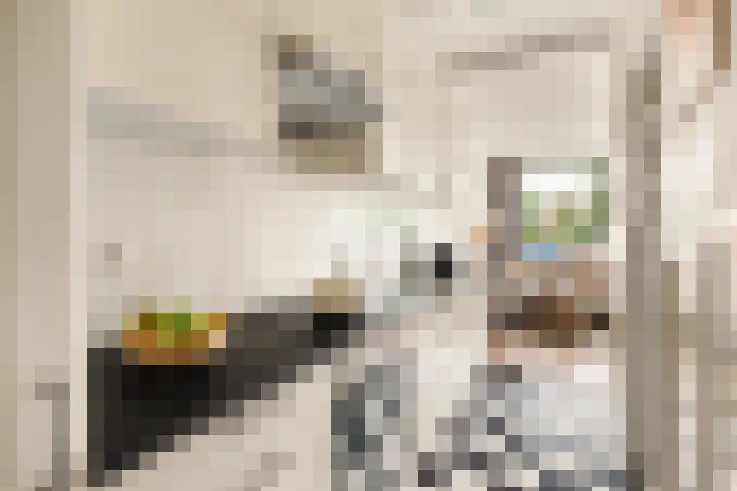 Rauwenhofflaan 18 Utrecht thumbnail 19