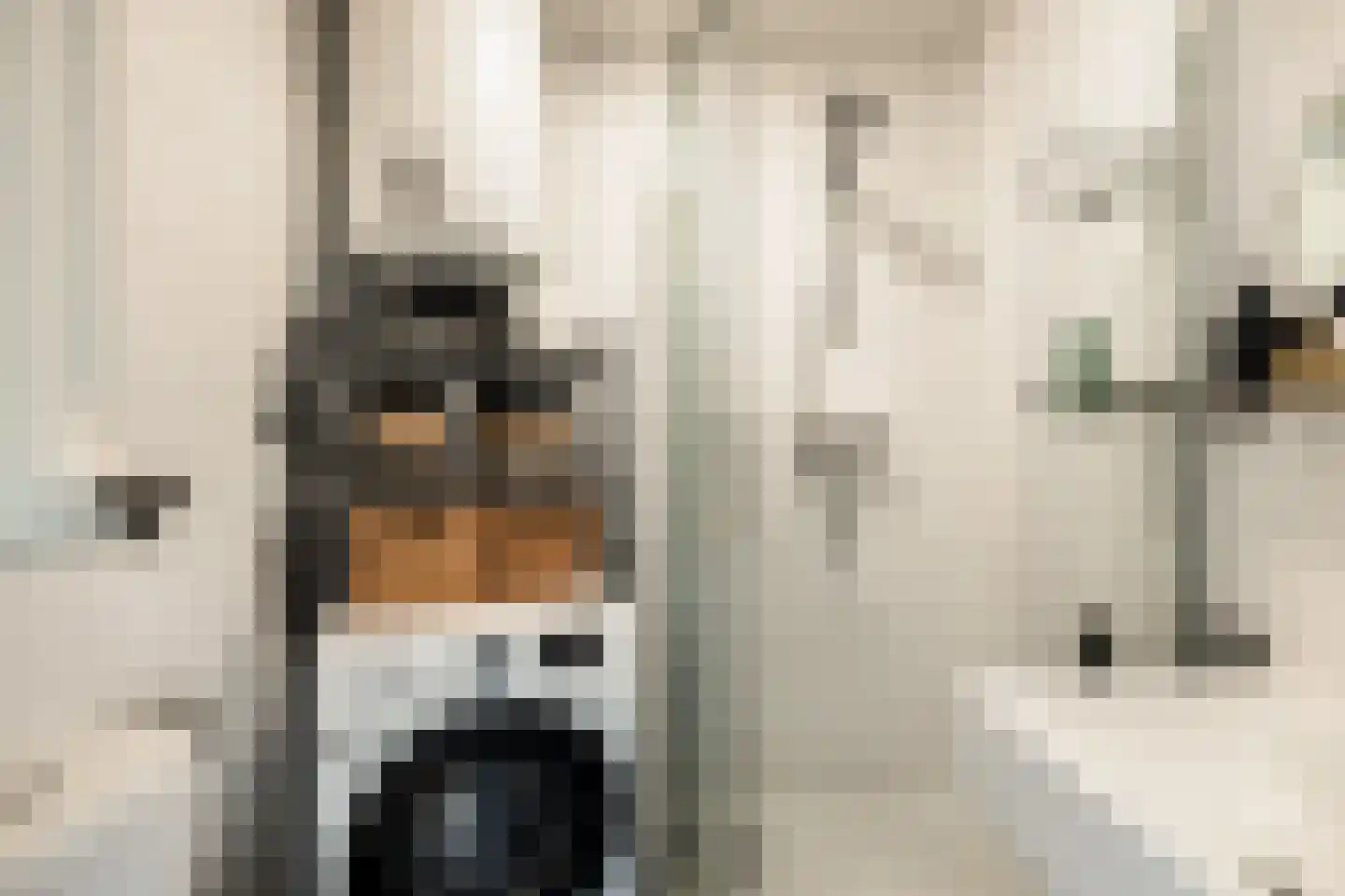 Rauwenhofflaan 18 Utrecht thumbnail 26
